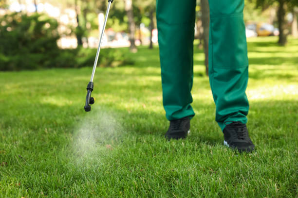Best Local Pest Control Services  in Sugarcreek, OH